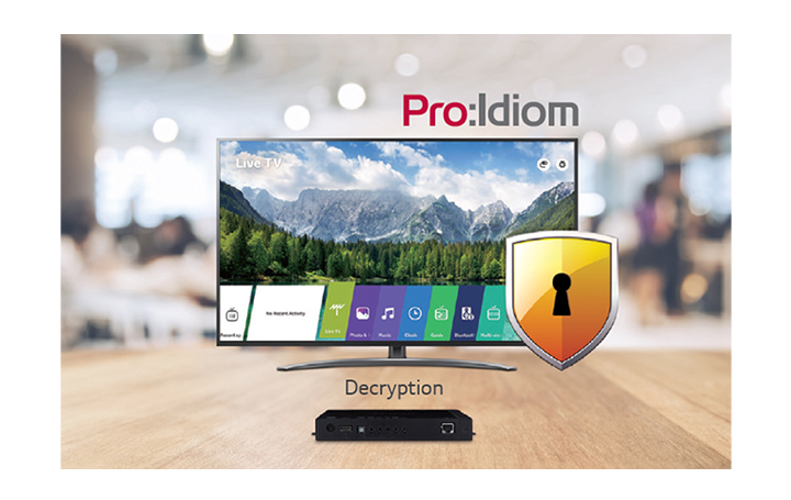 Embedded Pro:Idiom Decryption